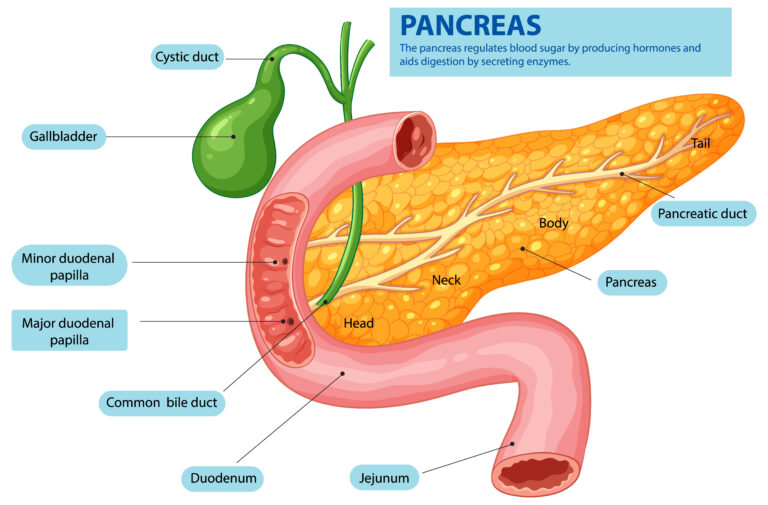 signs of low pancreatic enzymes